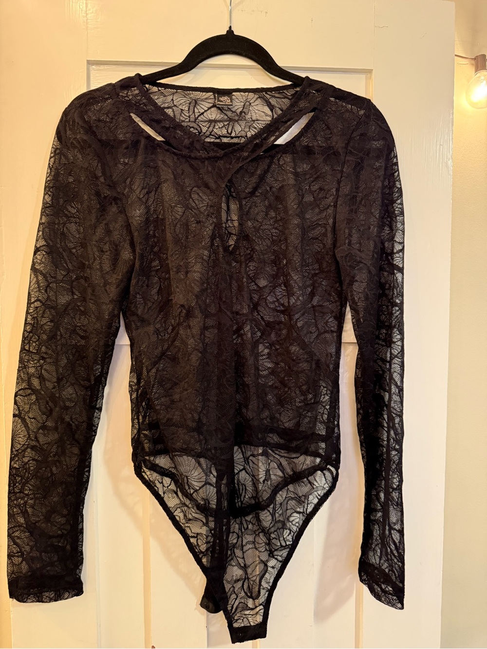 Sheer Black Lace Long-Sleeve Bodysuit mushroom print